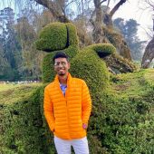 Vignesh Palanivel
